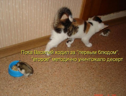 [kotomatrix_50%255B3%255D.jpg]