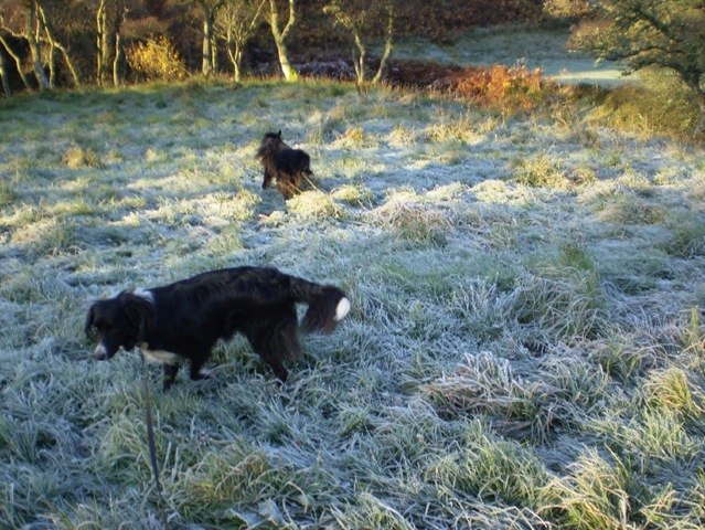 [frosty%2520moneynut%25205%255B3%255D.jpg]