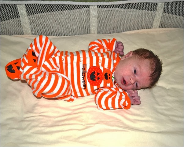 happy halloween happy halloween