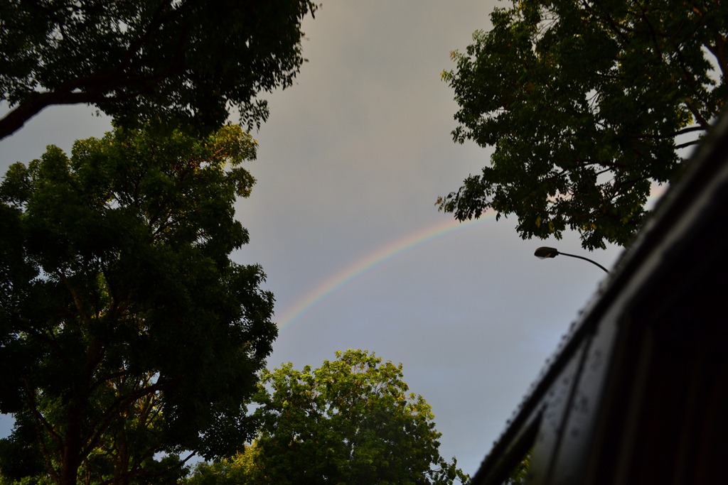 [DSC_0485%255B3%255D.jpg]