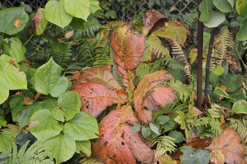 20111003_144811