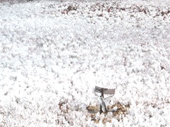 3.2012 frost night on the bog