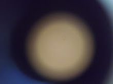 DSCF2243
