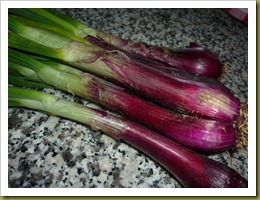 Fettuccine primavera cipollotto di tropea, aglio rosa e asparagina (4)
