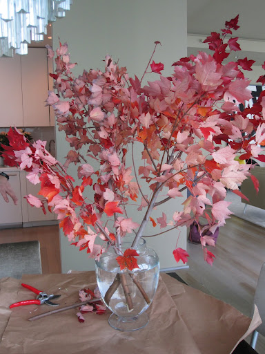 The arrangement is just at the start of being put together.