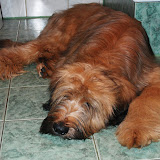 Abi - malee.jpg