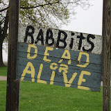 "Dead or Alive" - copyright David Thompson