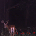 ICAM0015.JPG