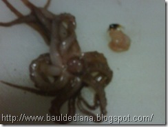 IMG00140 IMG00140
