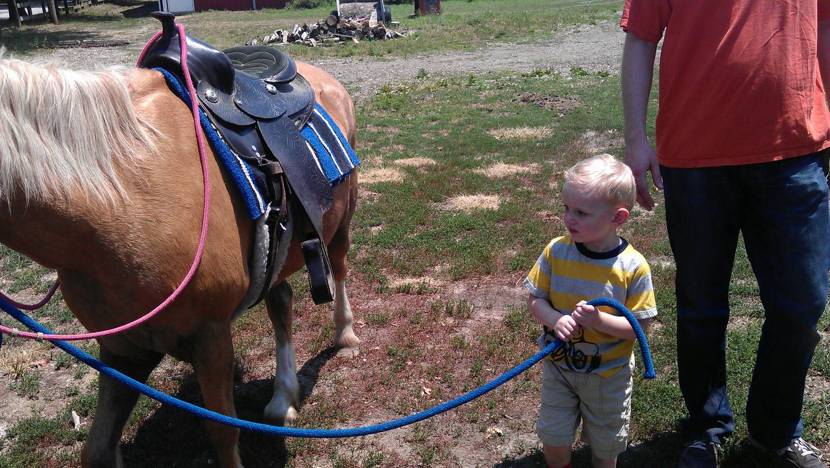 Leading the pony