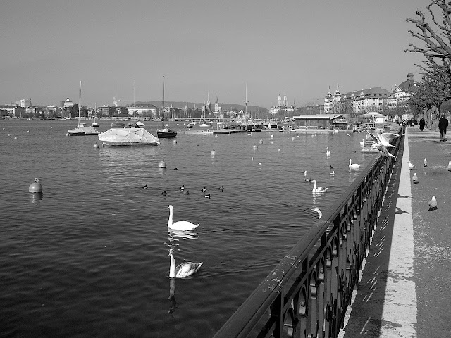 Zürich-20120221-00232.jpg
