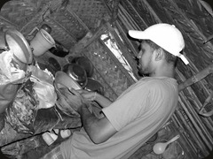HPIM0217 HPIM0217