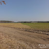 dsc06763.jpg