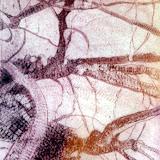 ...et du Calme 2000; C3 C5/eau-forte, aquatinte; 63 x 98mm