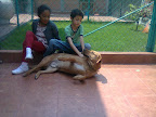 Muchas gracias a la familia de Hapchi y Pecsi