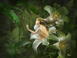 Flower Symphony