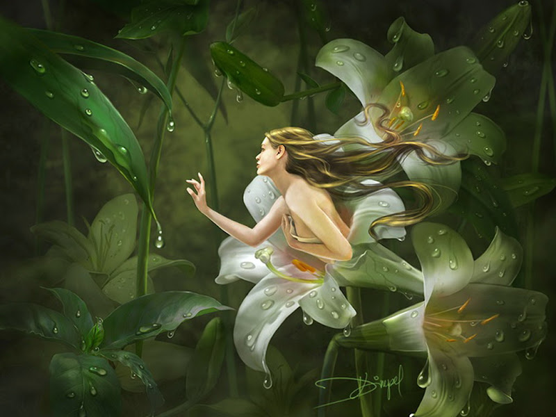 Flower Symphony, Mystery