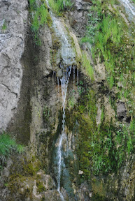 DSC_0256.JPG