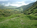 DSC00008.JPG