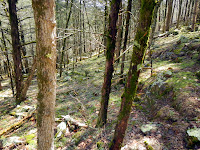 DSCN1907.JPG