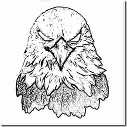 colorear aguila