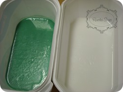 DSCN0006 DSCN0006