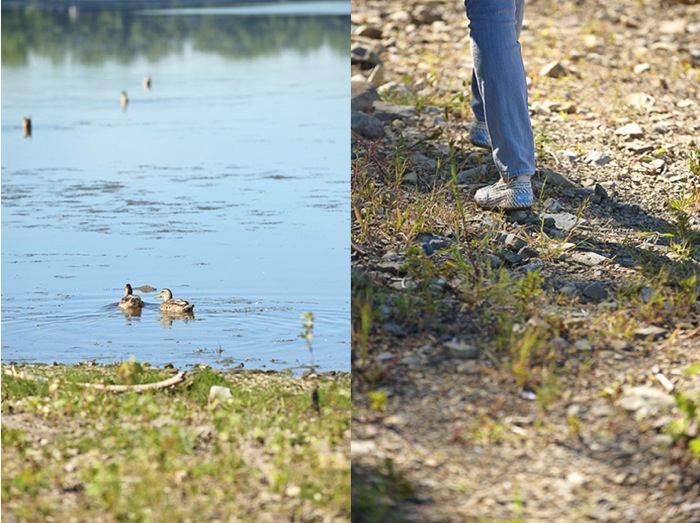 Ducks and feet