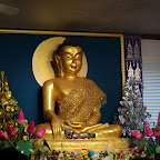 20120221_43.JPG