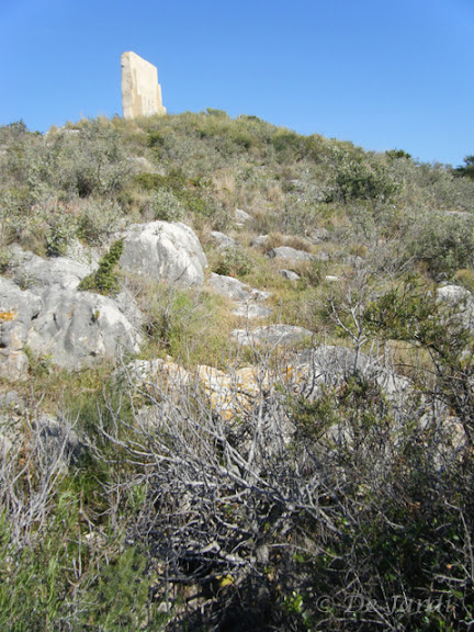 2012_03070018.jpg