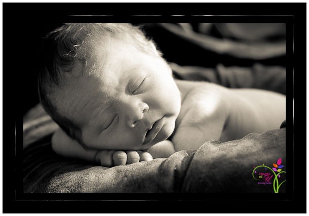 [NewbornSiblings-3264%255B3%255D.jpg]
