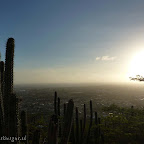 impressie_aruba_2010 (9).jpg