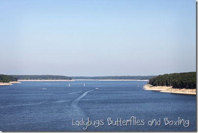 IMG_1095_e IMG_1095_e