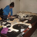 DSC00301.JPG