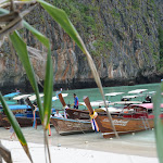 DSC_0739.JPG