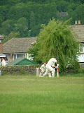 DSCF3590.JPG