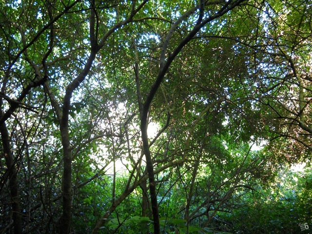 DSCN2514_2 DSCN2514_2