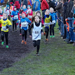PK Veldloop Lebbeke