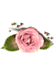 [1-55x38-rose-TR-top18_thumb%255B2%255D.gif]