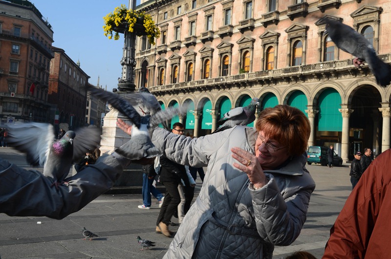 [Milan-Shelley-birds23.jpg]