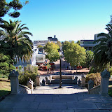Nelson