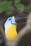 IMG_8574.JPG