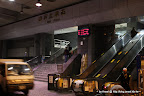 IMG_7931.JPG