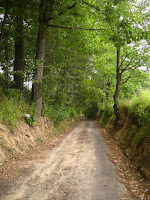 wymuszony skrót Photo