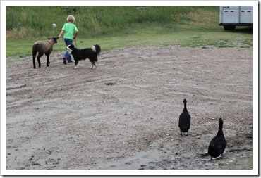 IMG_3346 IMG_3346