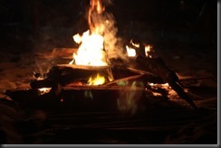 IMG_4212 IMG_4212