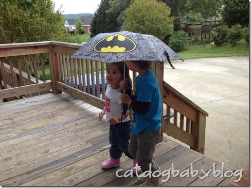 brella2