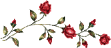[web-divider-red-roses43.gif]
