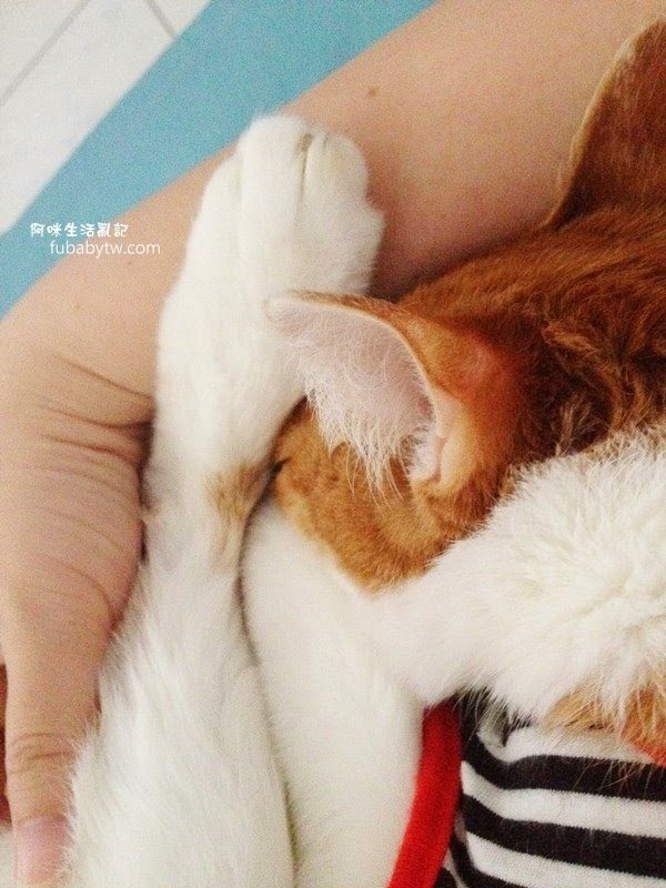 調整大小IMG_2368 調整大小IMG_2368