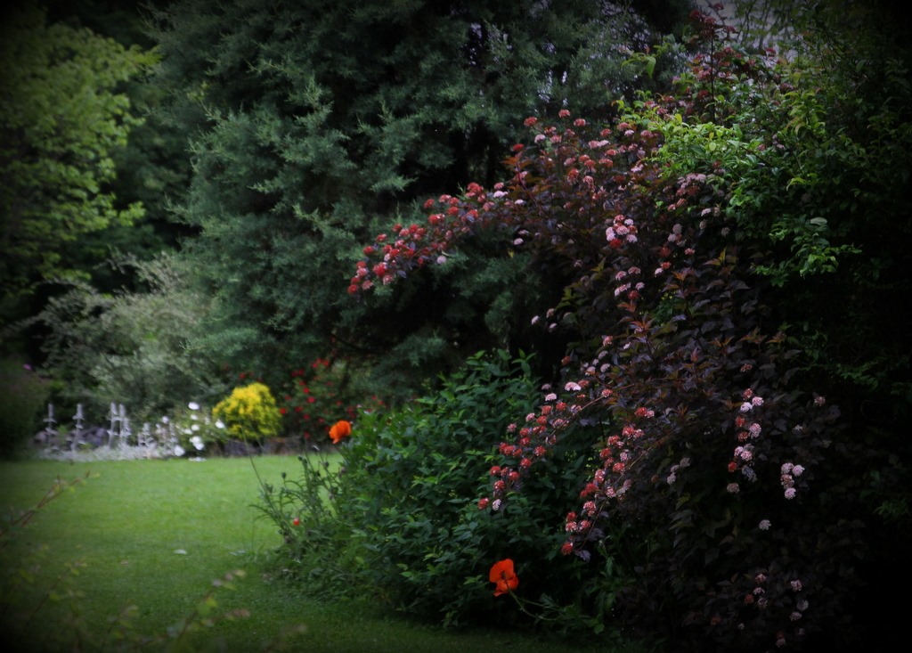 [IMG_2587%255B3%255D.jpg]