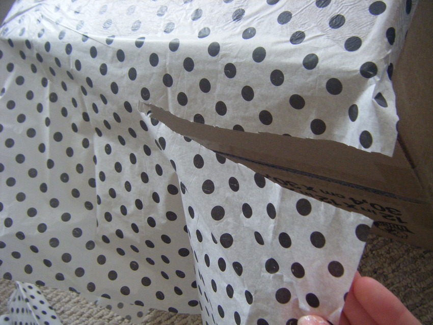 [11.%2520Trim%2520Excess%255B5%255D.jpg]